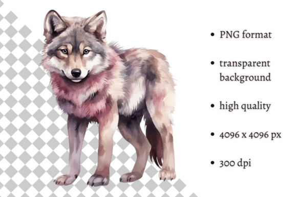 Download Watercolor Woodland Wolf PNG Clipart - Premium Bundle