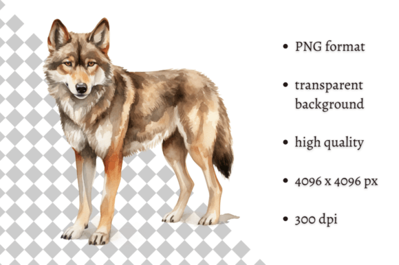 Download Watercolor Woodland Wolf PNG Clipart - Premium Bundle