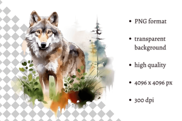 Download Watercolor Wolf PNG Illustration - Premium Bundle